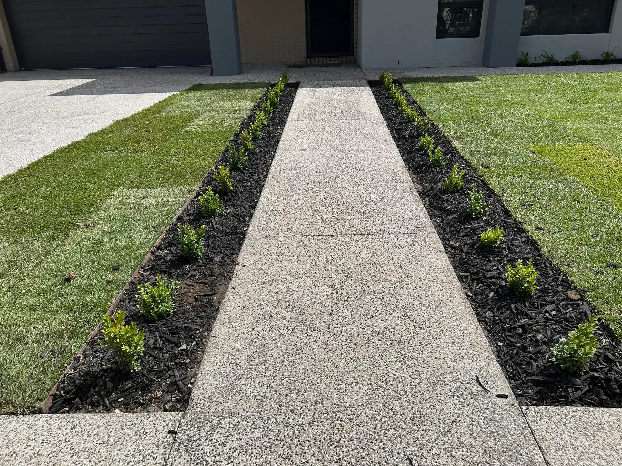 Exposed-aggregate front entry path flanked by mulched hedge beds and freshly laid turf